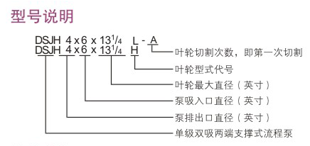 DSJH型石油化工流程泵型號(hào)說明